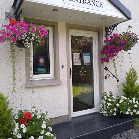 The Laurels Bed & Breakfast Lodge Omagh Exterior foto